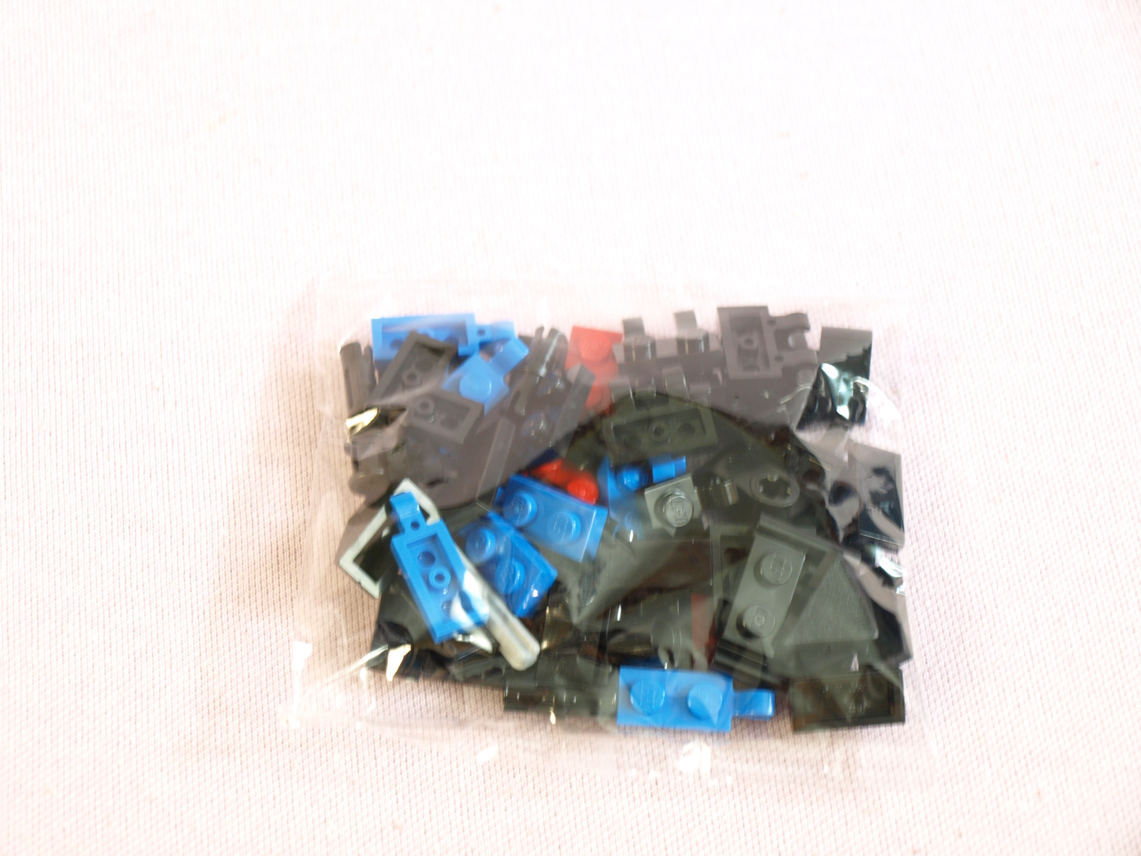 p1016243.jpg