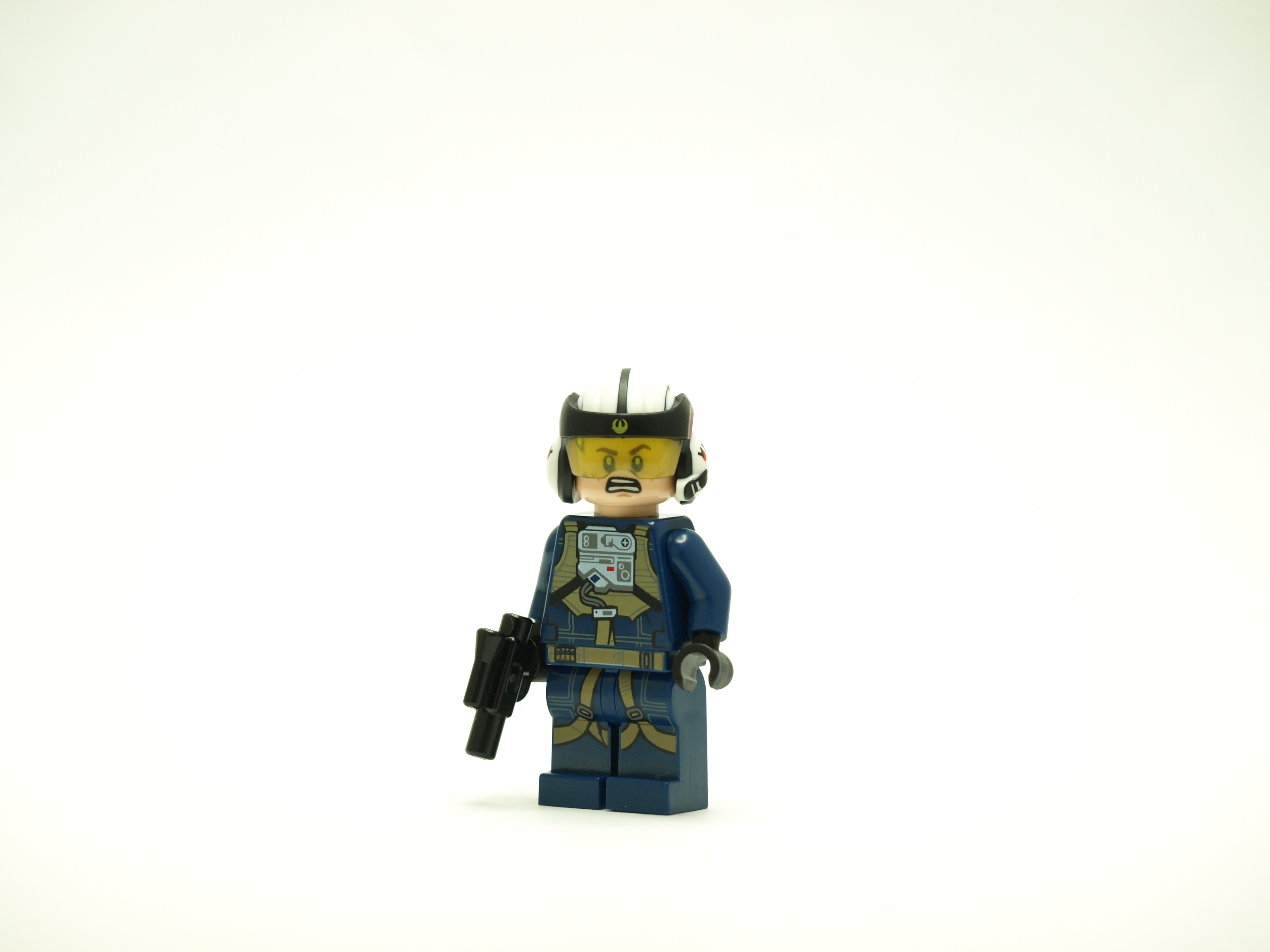 p1015291.jpg