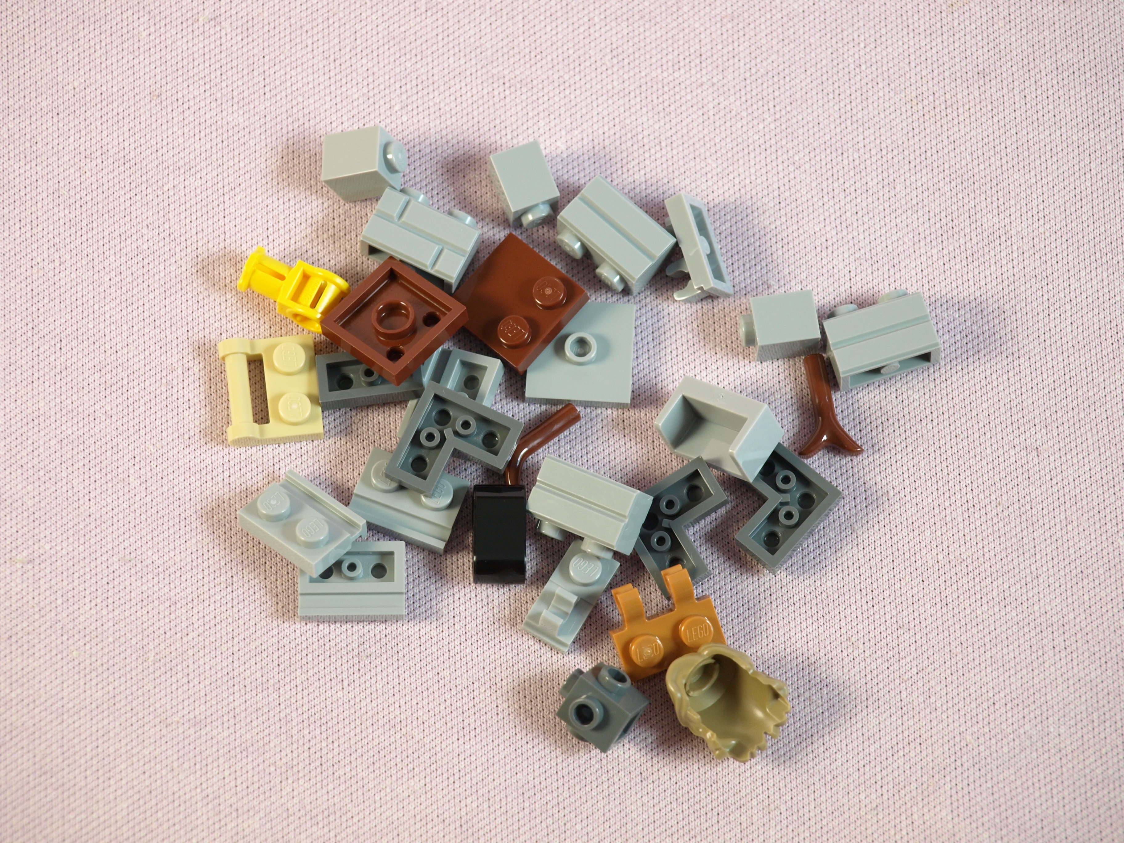 p1015159.jpg