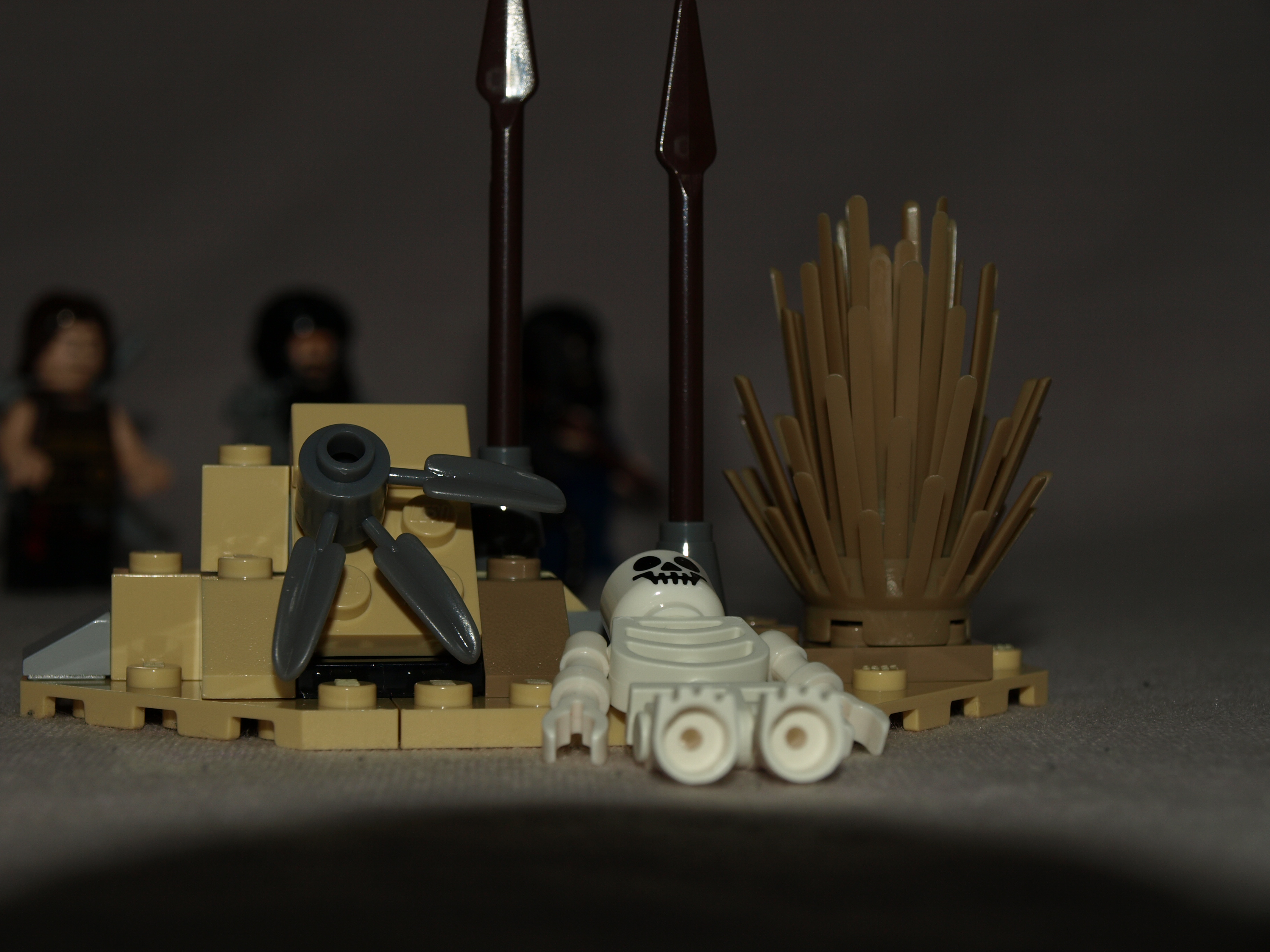 457.jpg