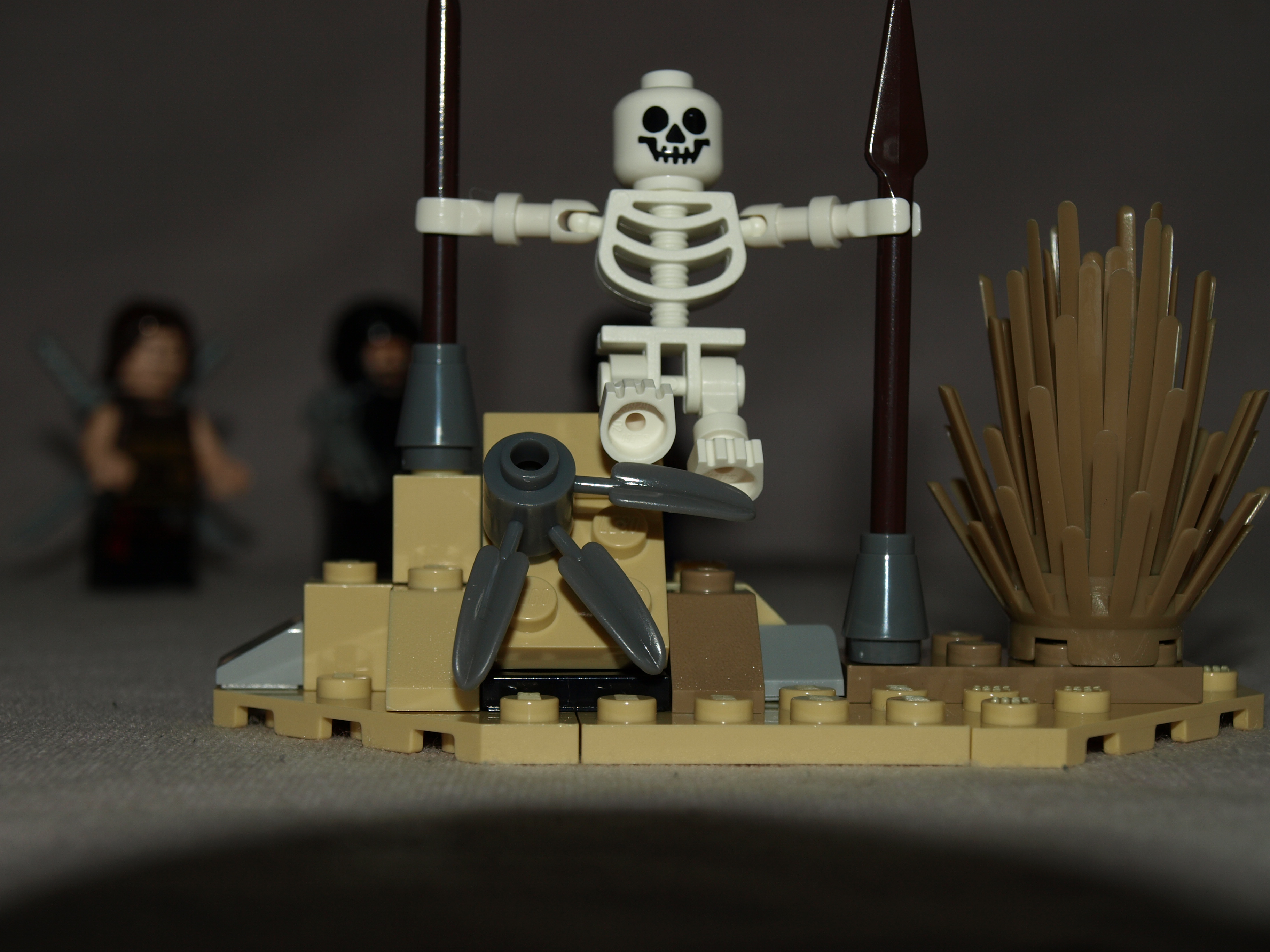 459.jpg