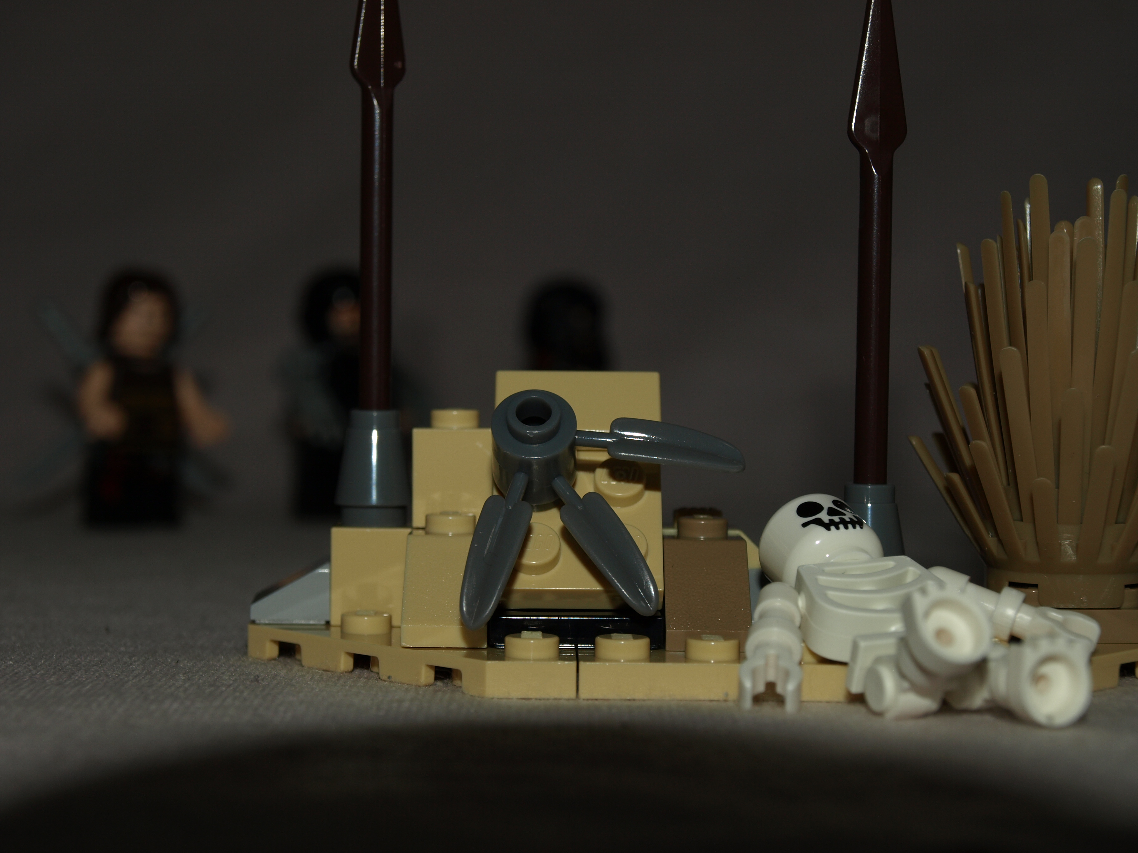 460.jpg