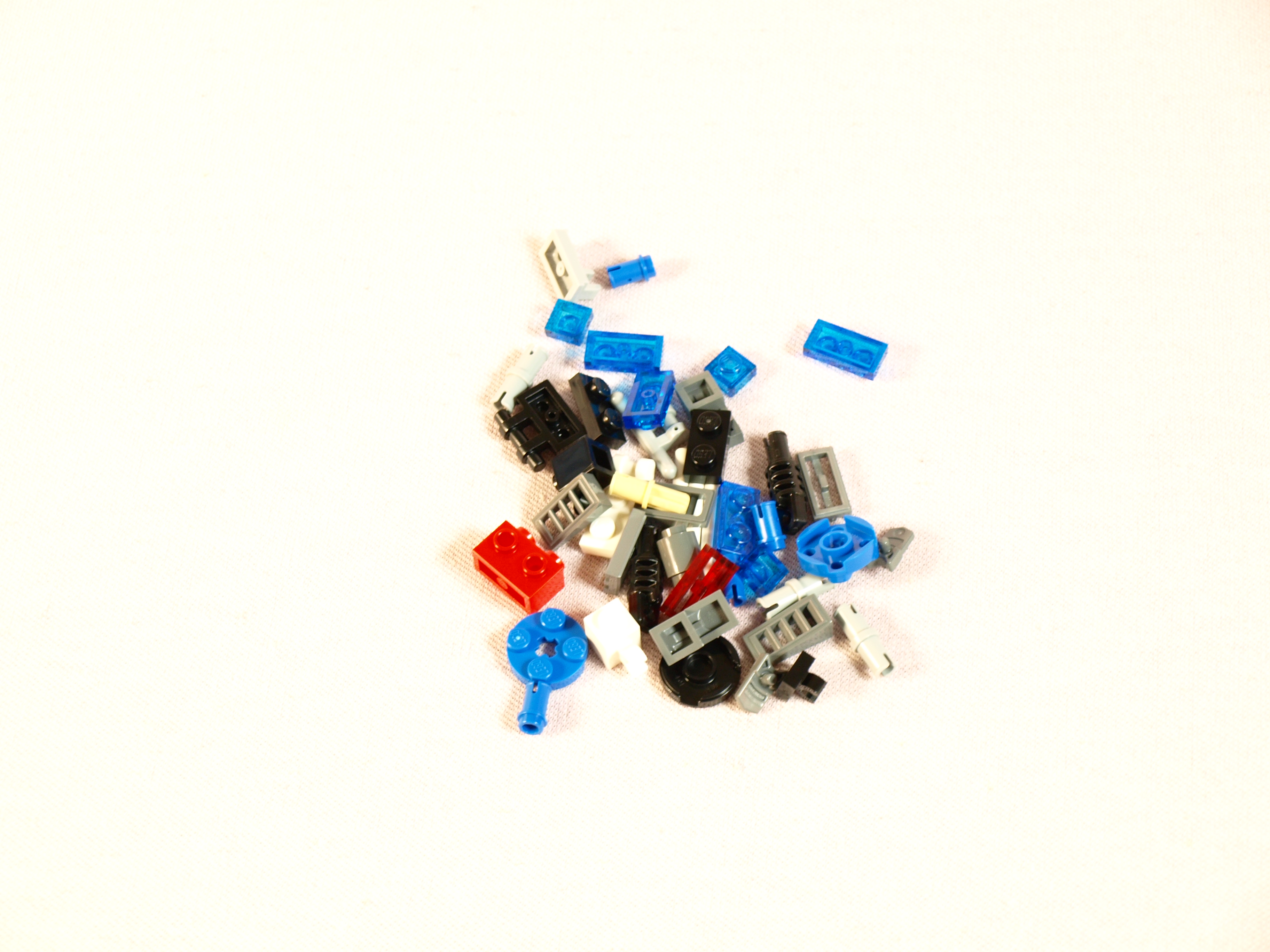 p1012012.jpg
