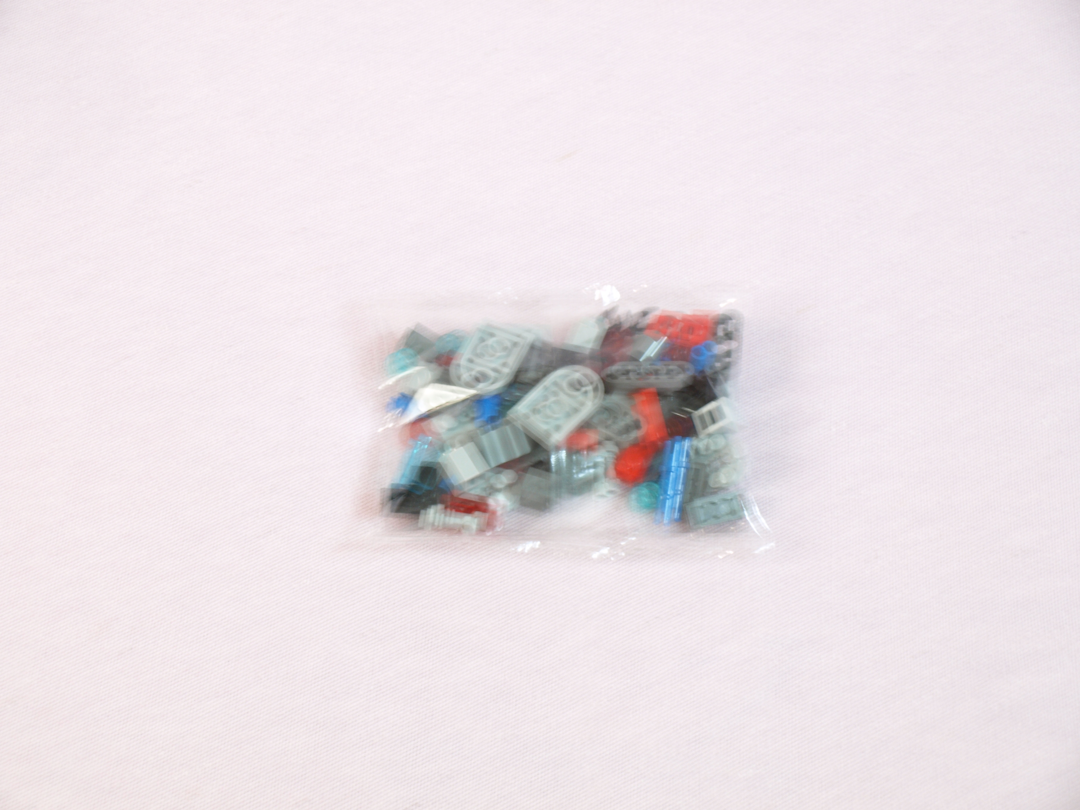 p1012989.jpg