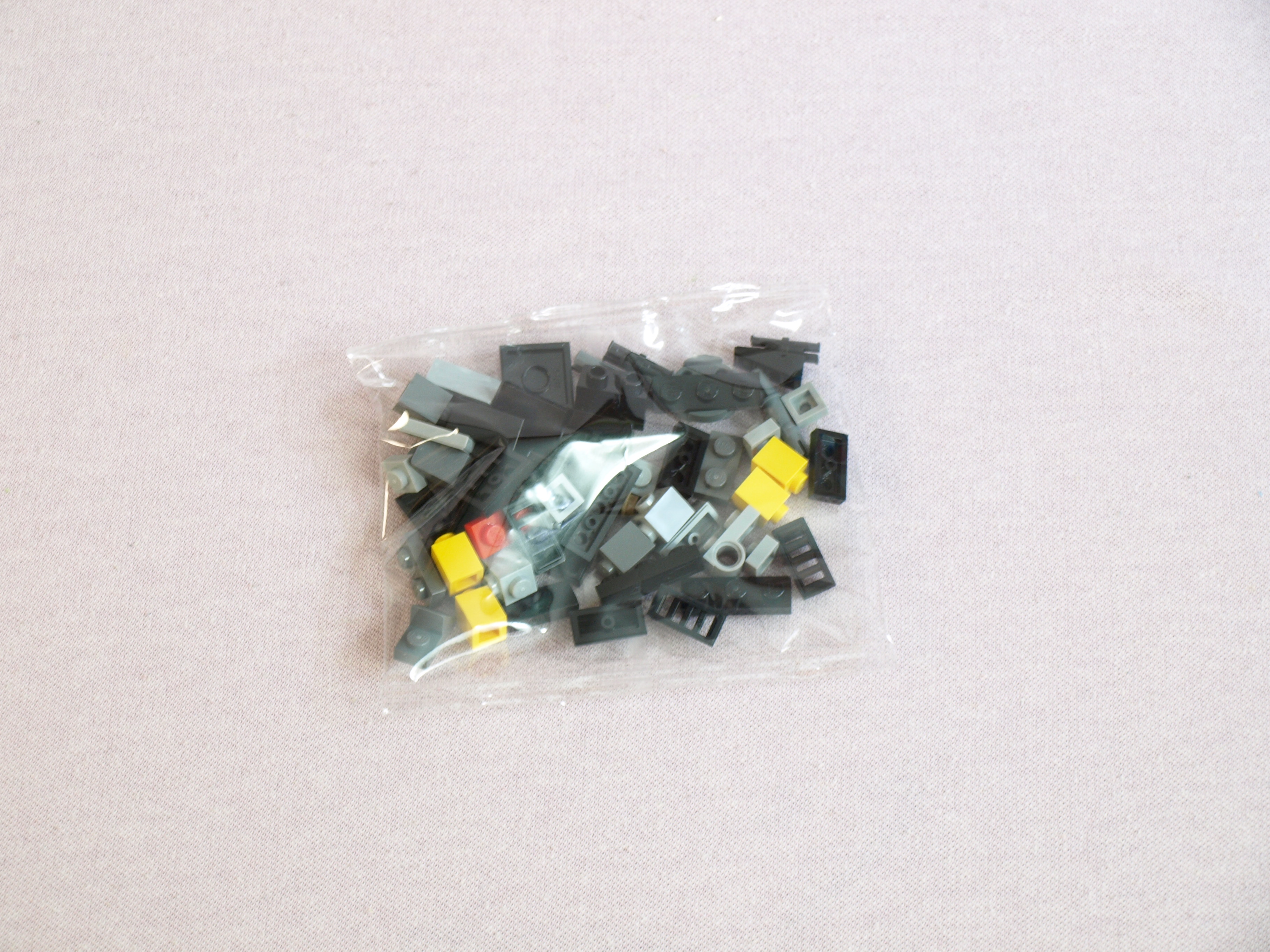 p1017020.jpg