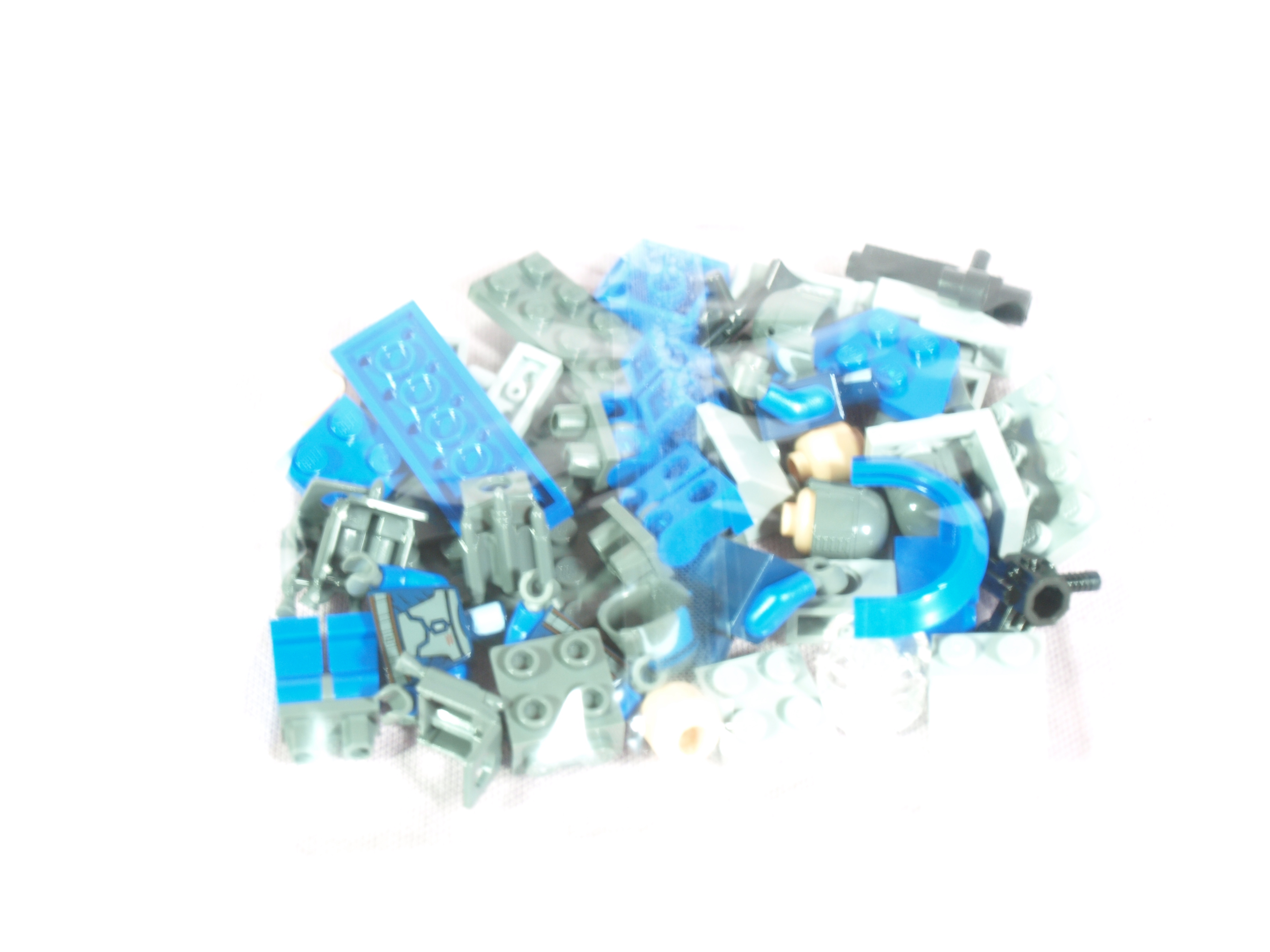 p1016713.jpg