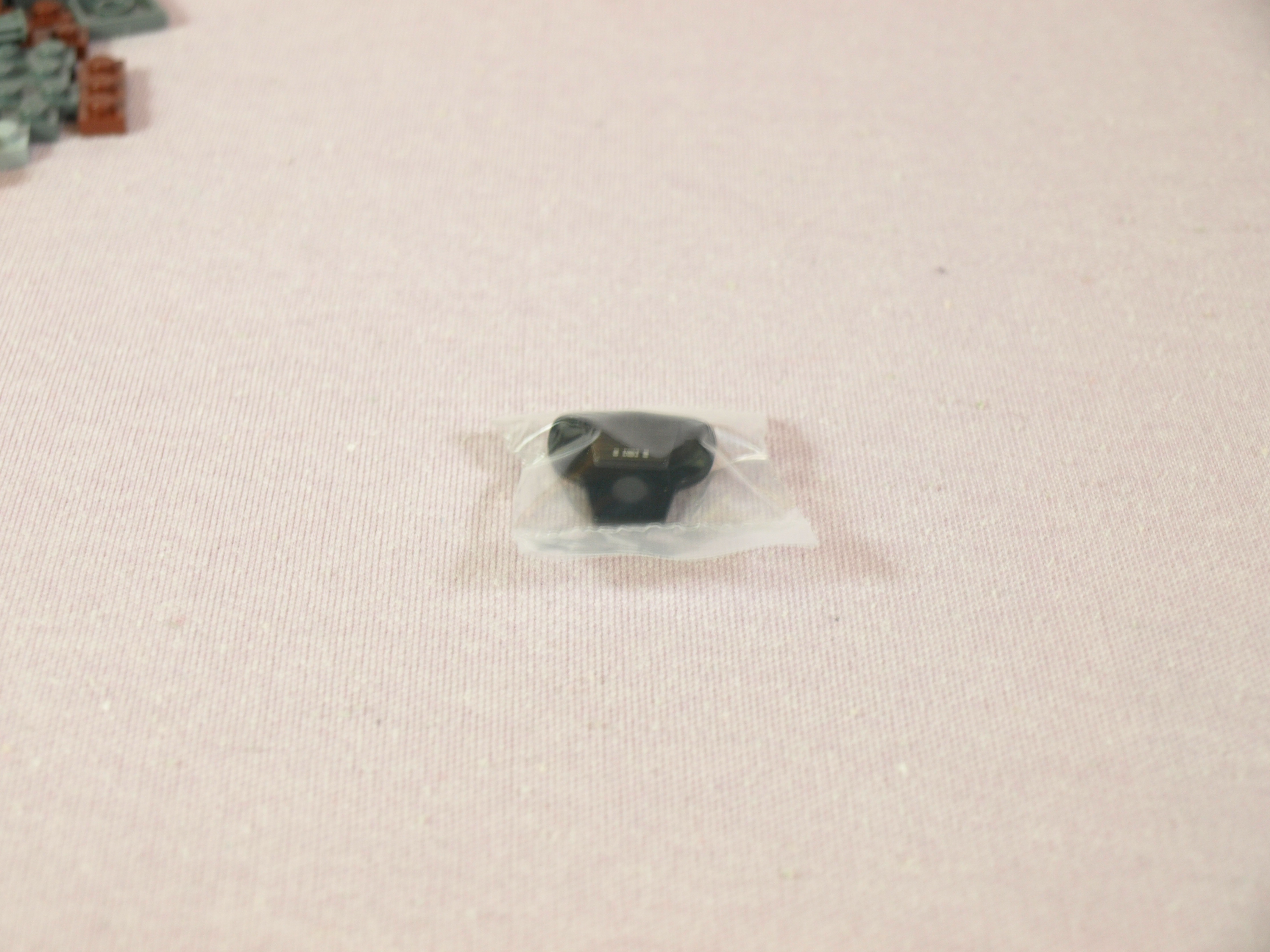 p1010177.jpg