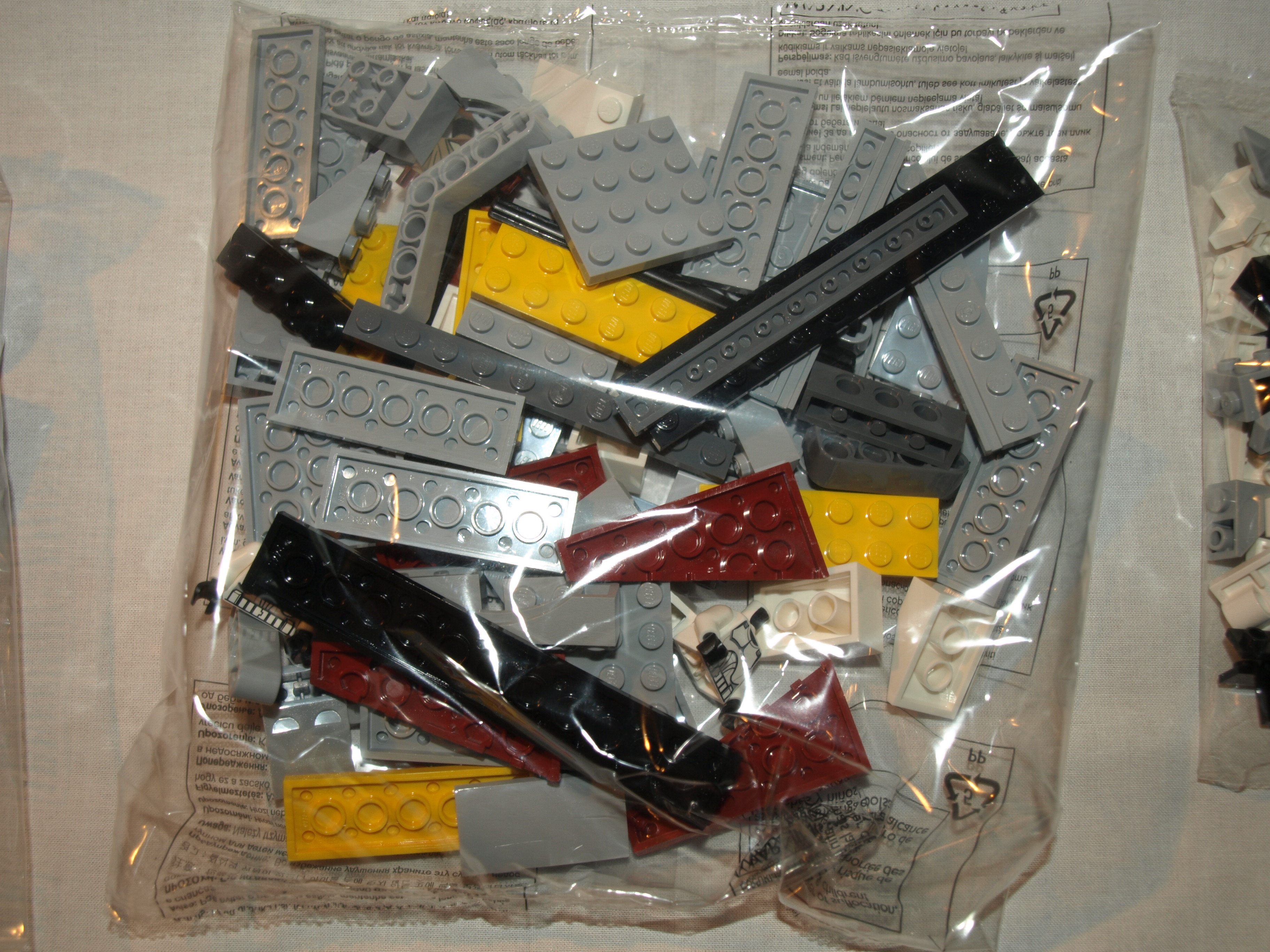 239.jpg