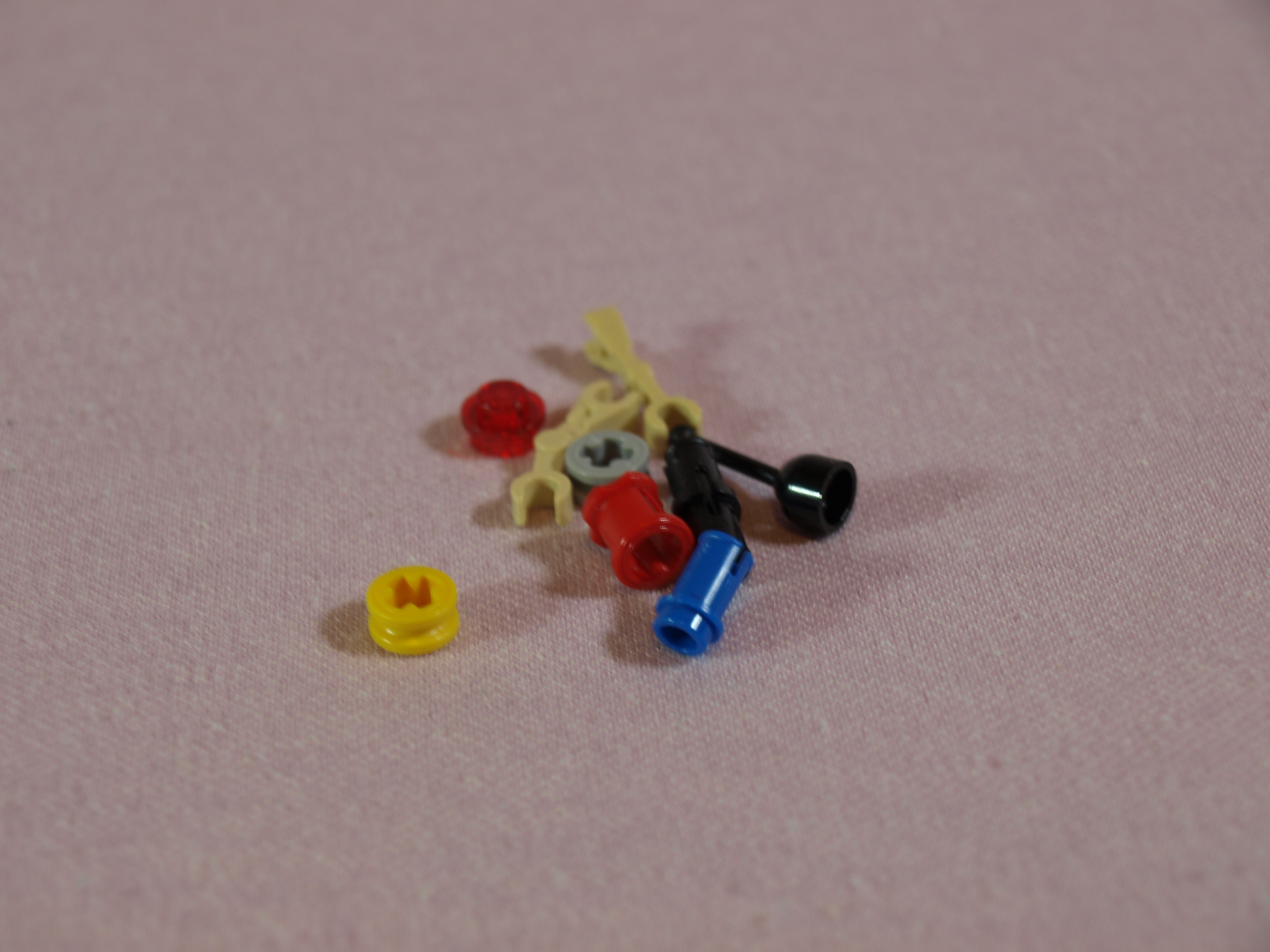 855.jpg