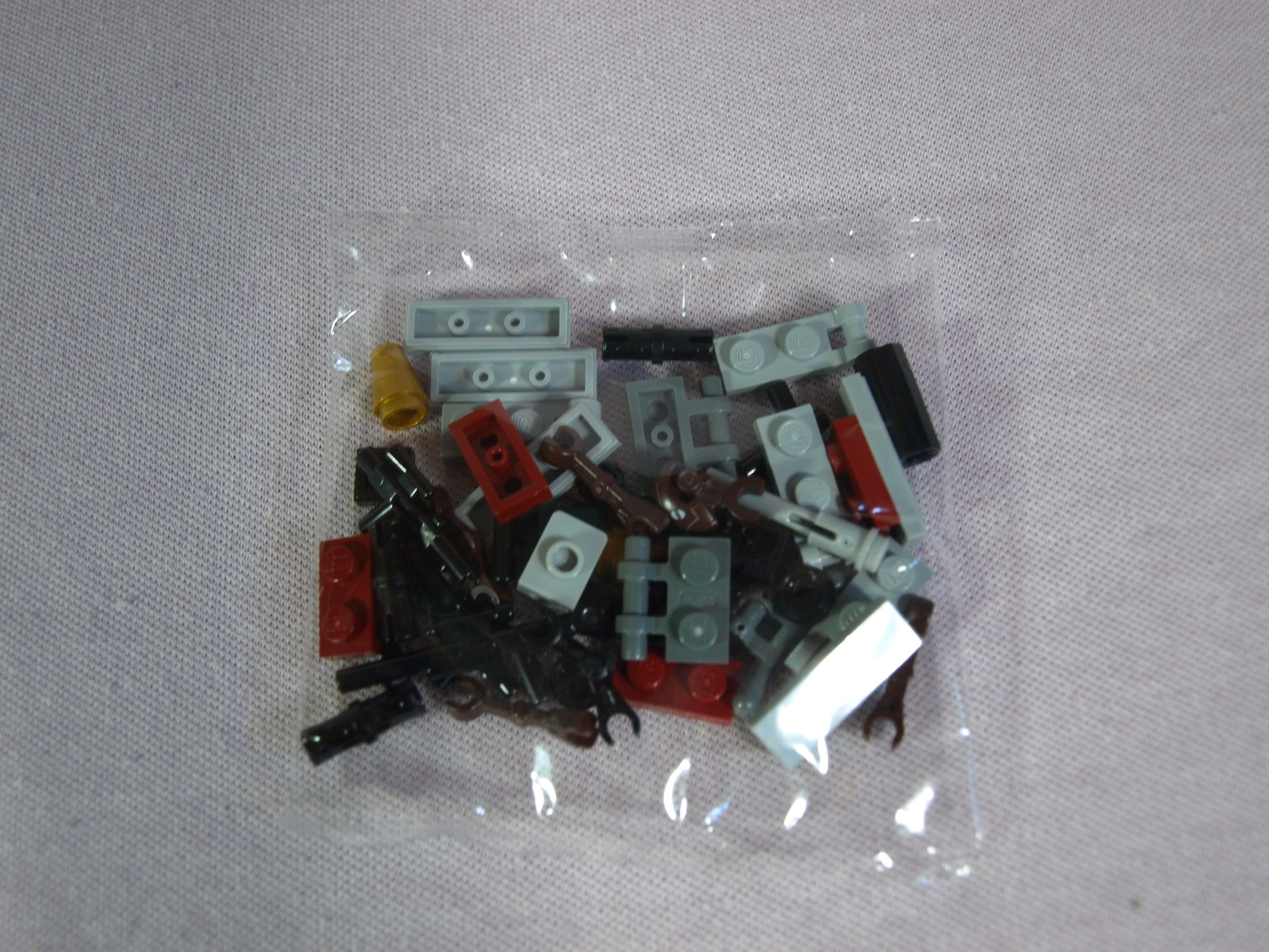 p1016077.jpg