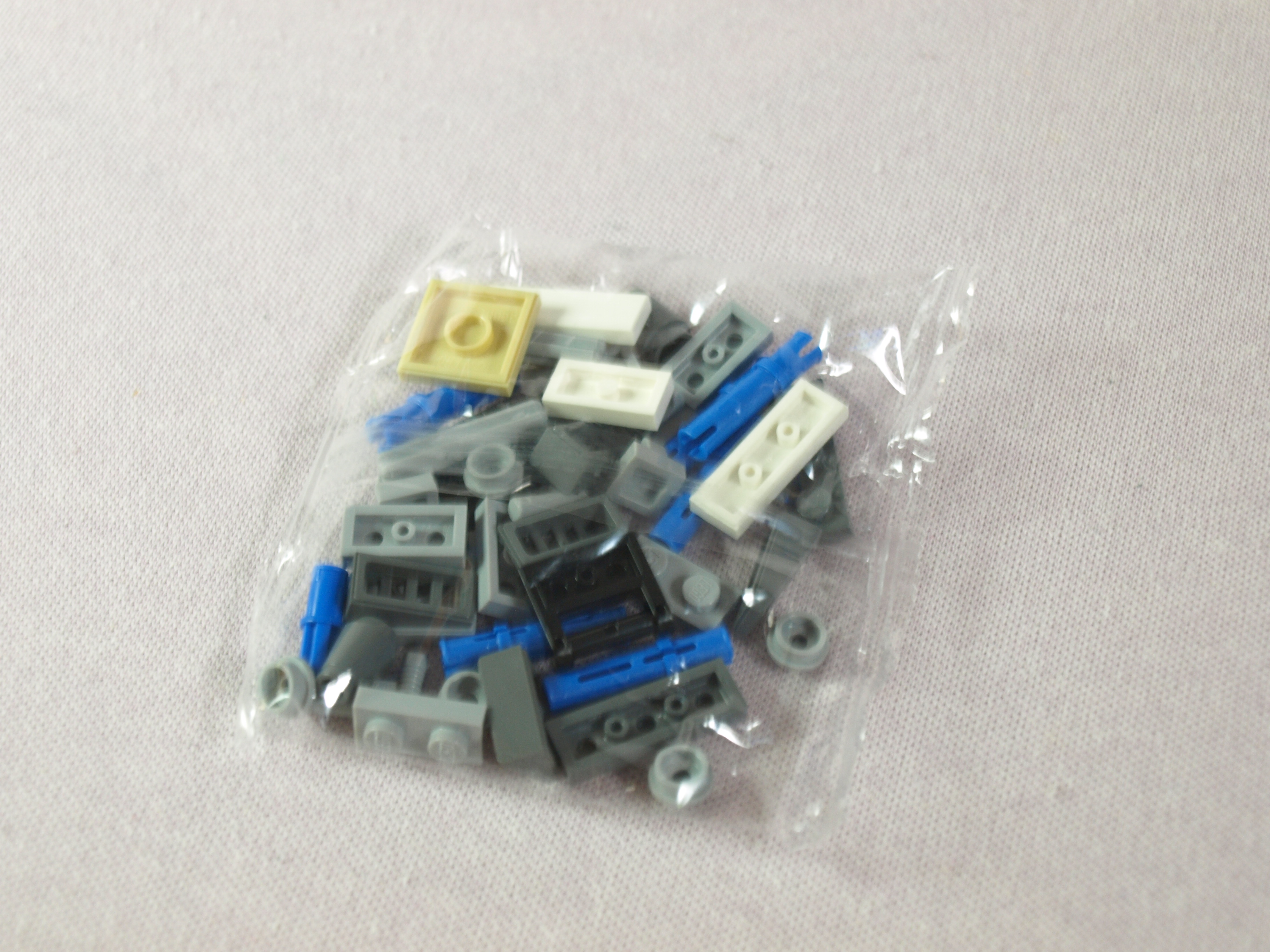 p1019343.jpg