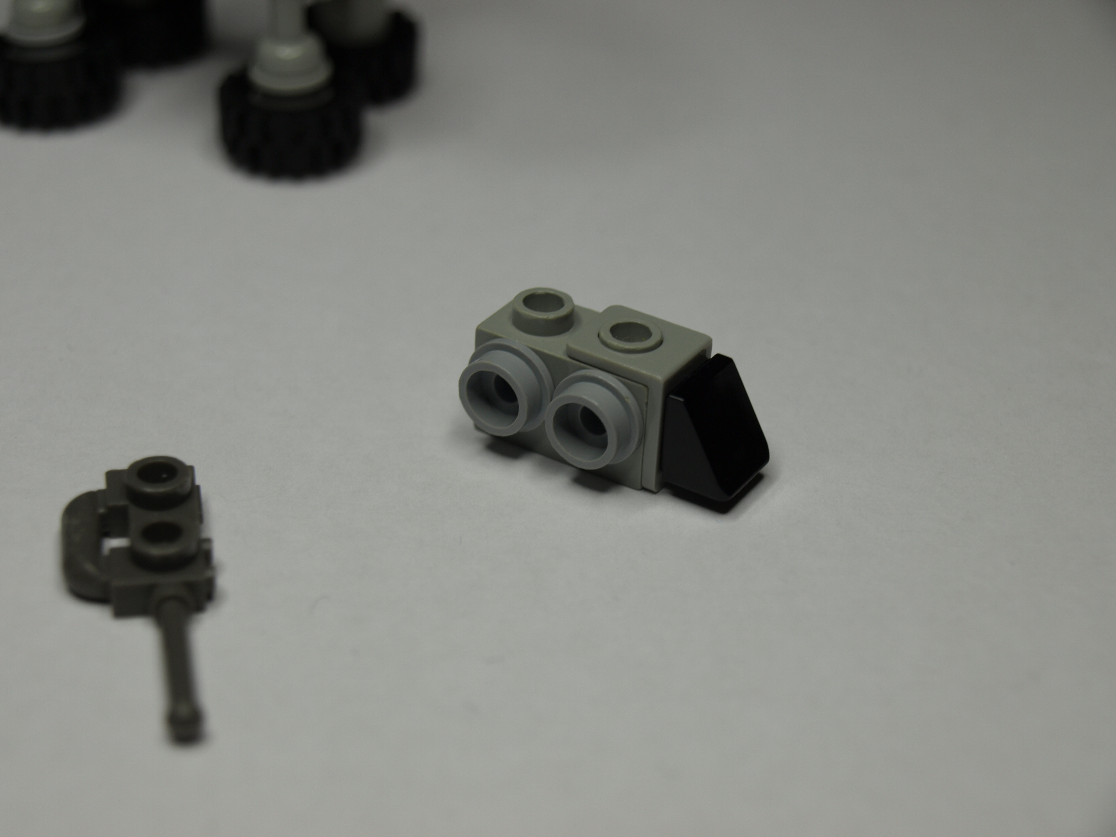 p1013390.jpg