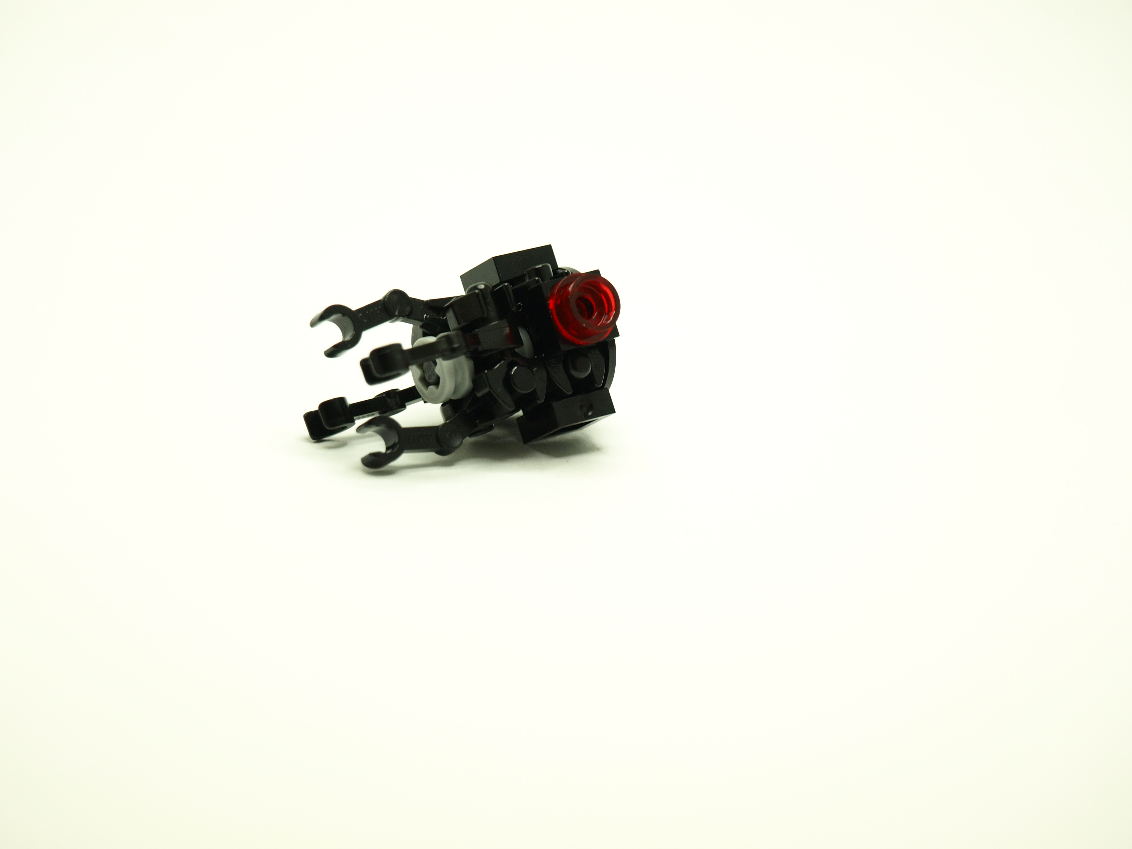 p1016893.jpg