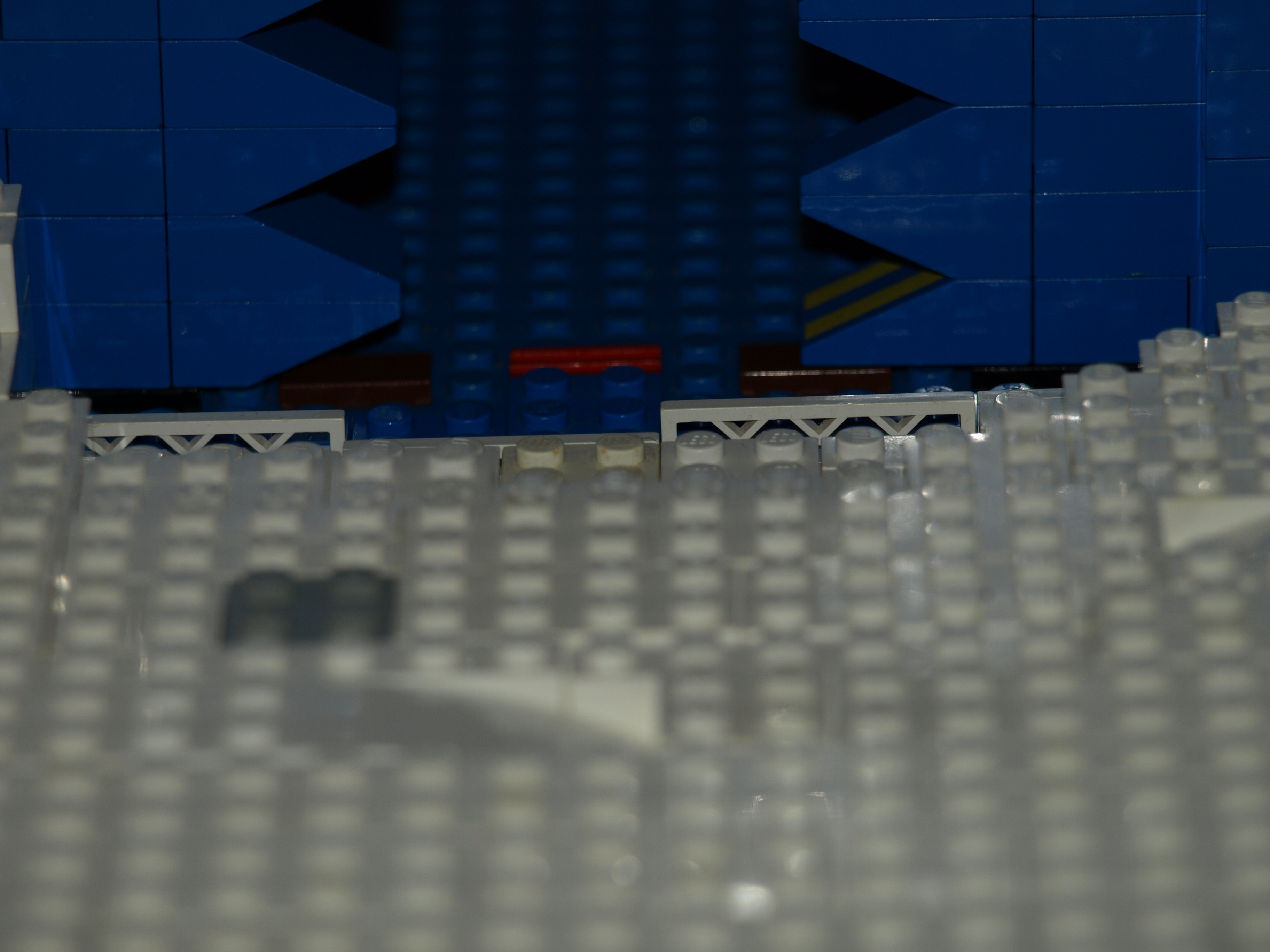 391.jpg