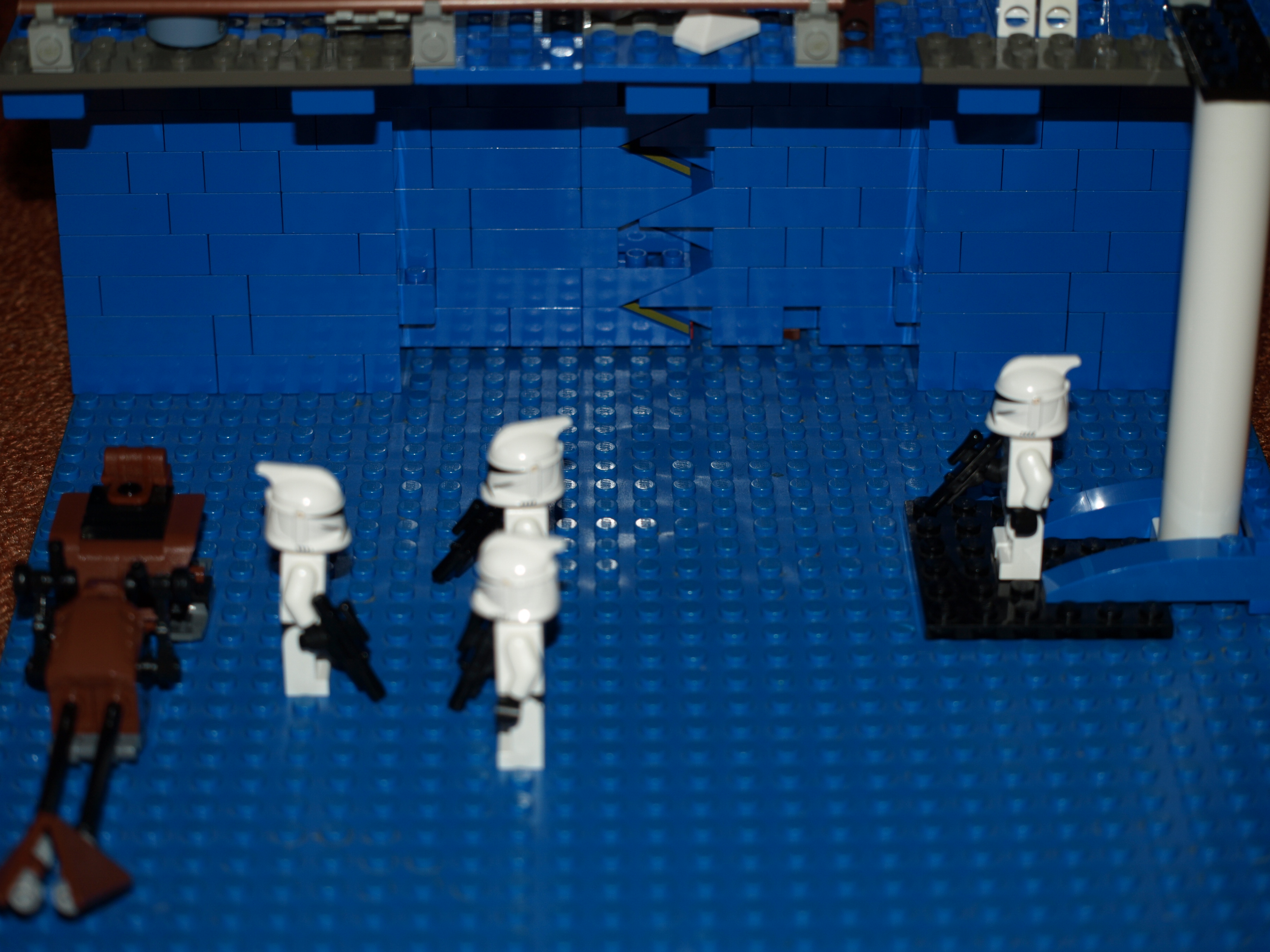 396.jpg