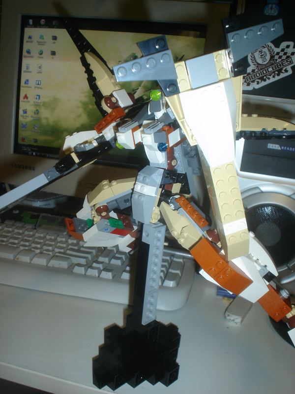 005.jpg