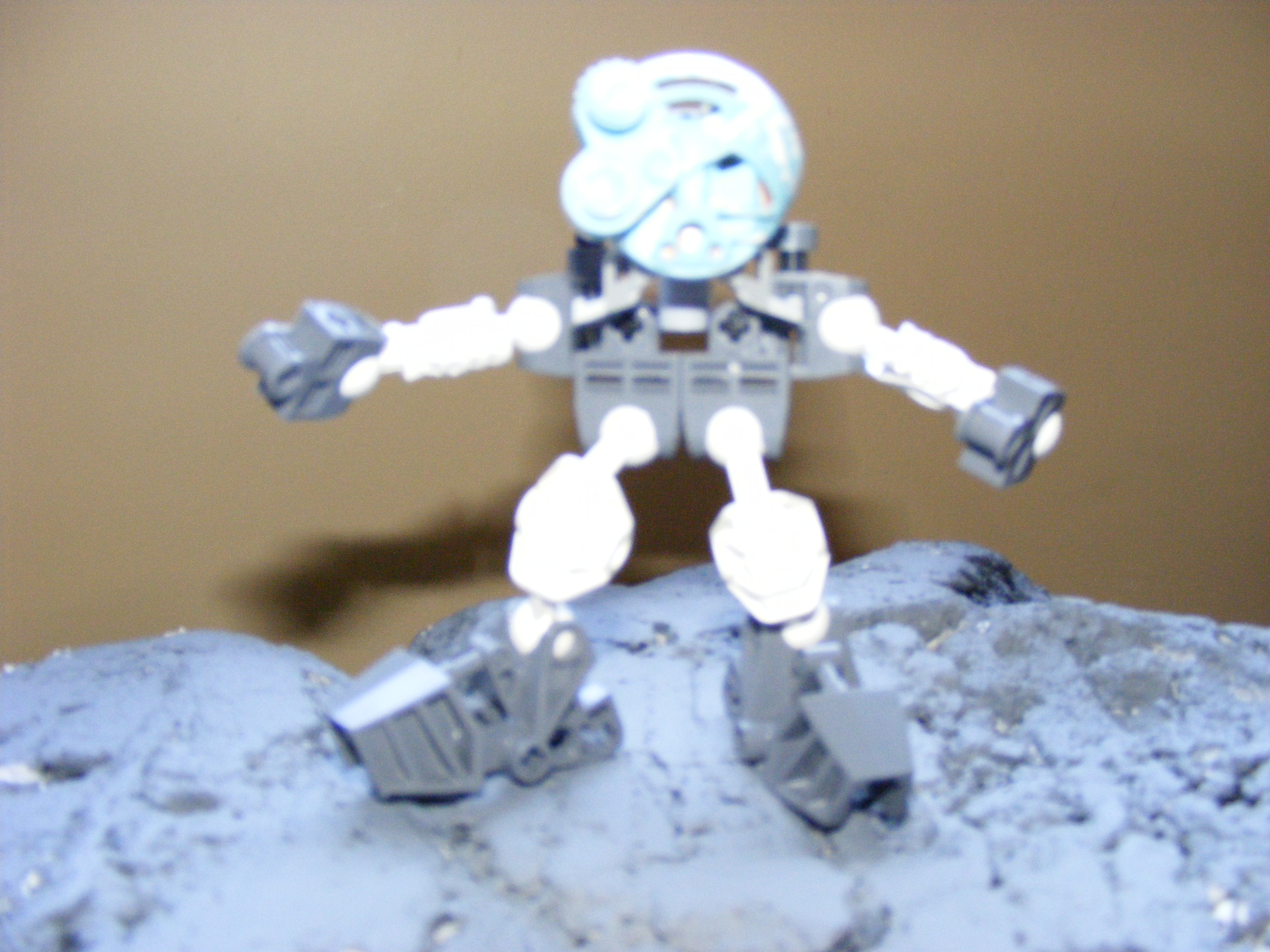 2008_0703bionicles-20064.jpg
