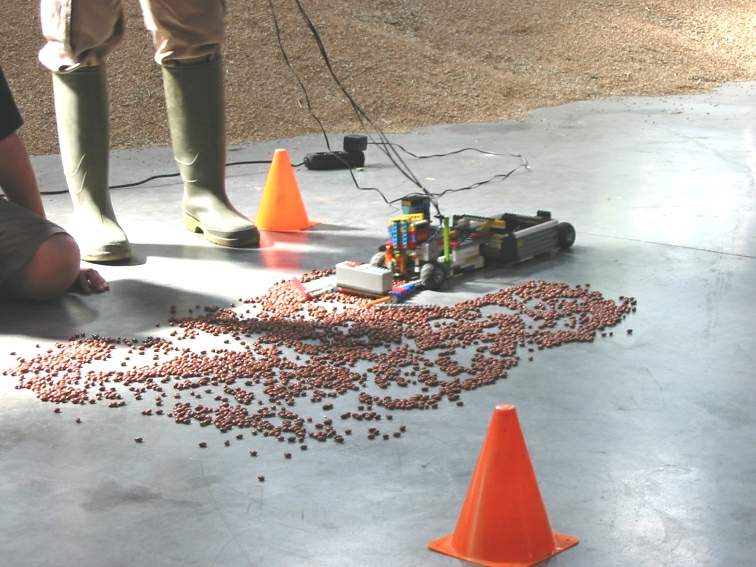 competition04.jpg