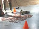 competition04.jpg