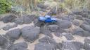 trx4sport.jpg