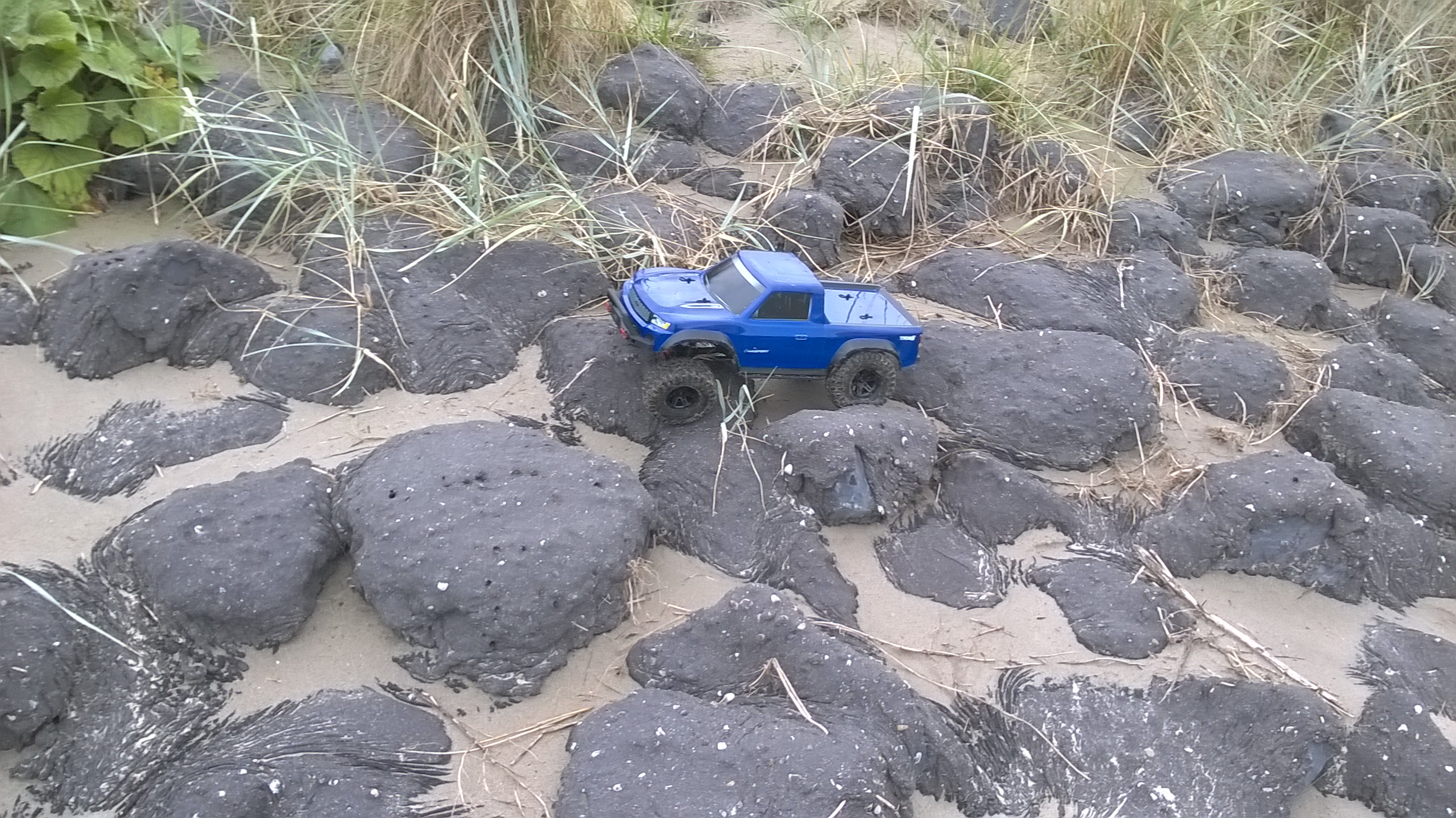 trx4sport.jpg