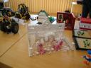 dsc00731.jpg