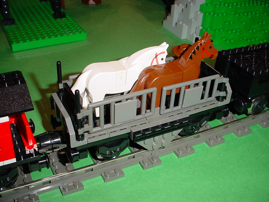 dsc00489.jpg