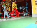 dsc00494.jpg