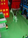 dsc00516.jpg
