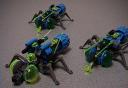 BUGS