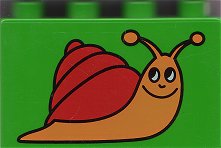 snail.jpg
