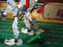 dsc00722.jpg