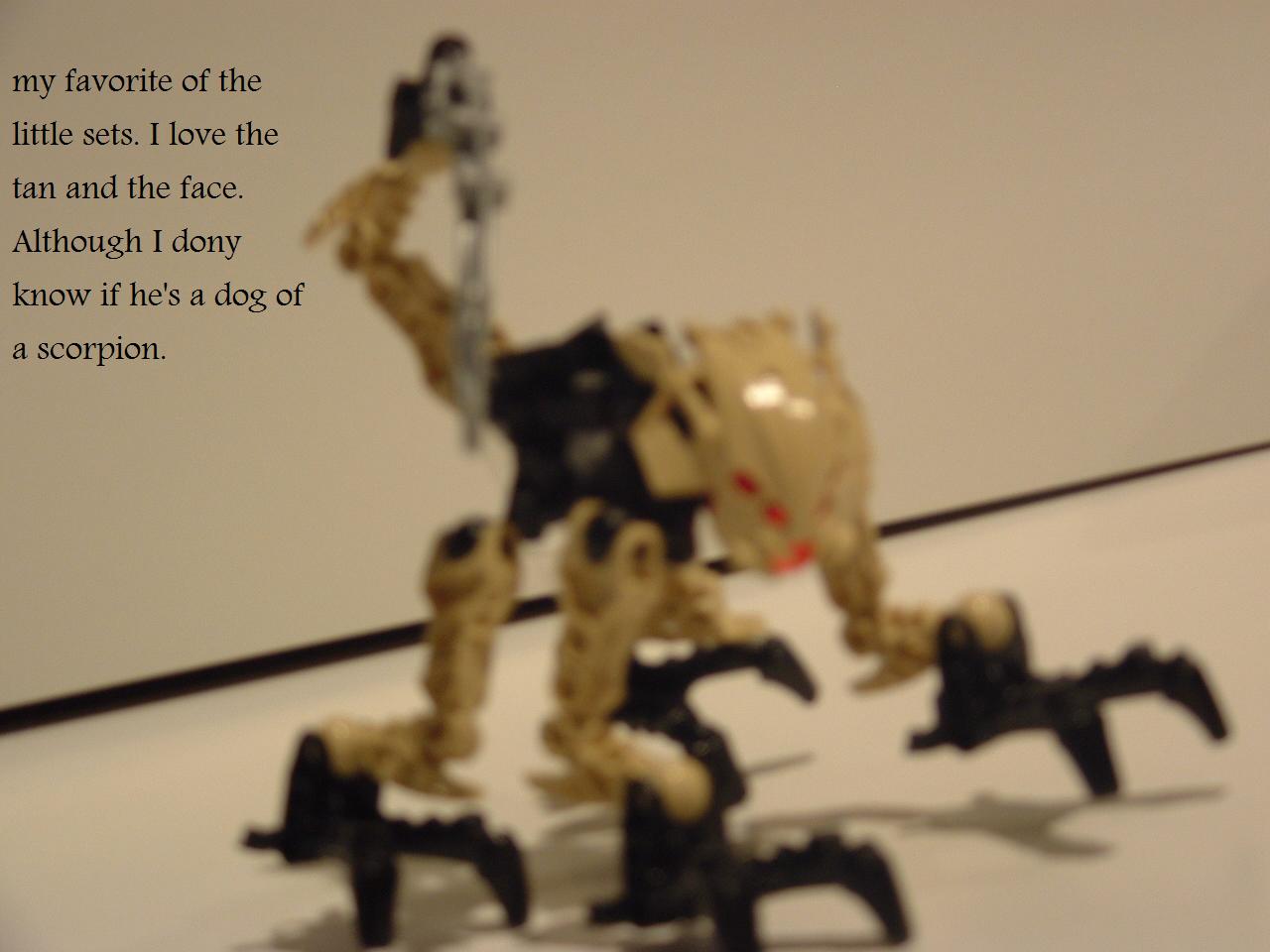 2009_bionicles_001.jpg