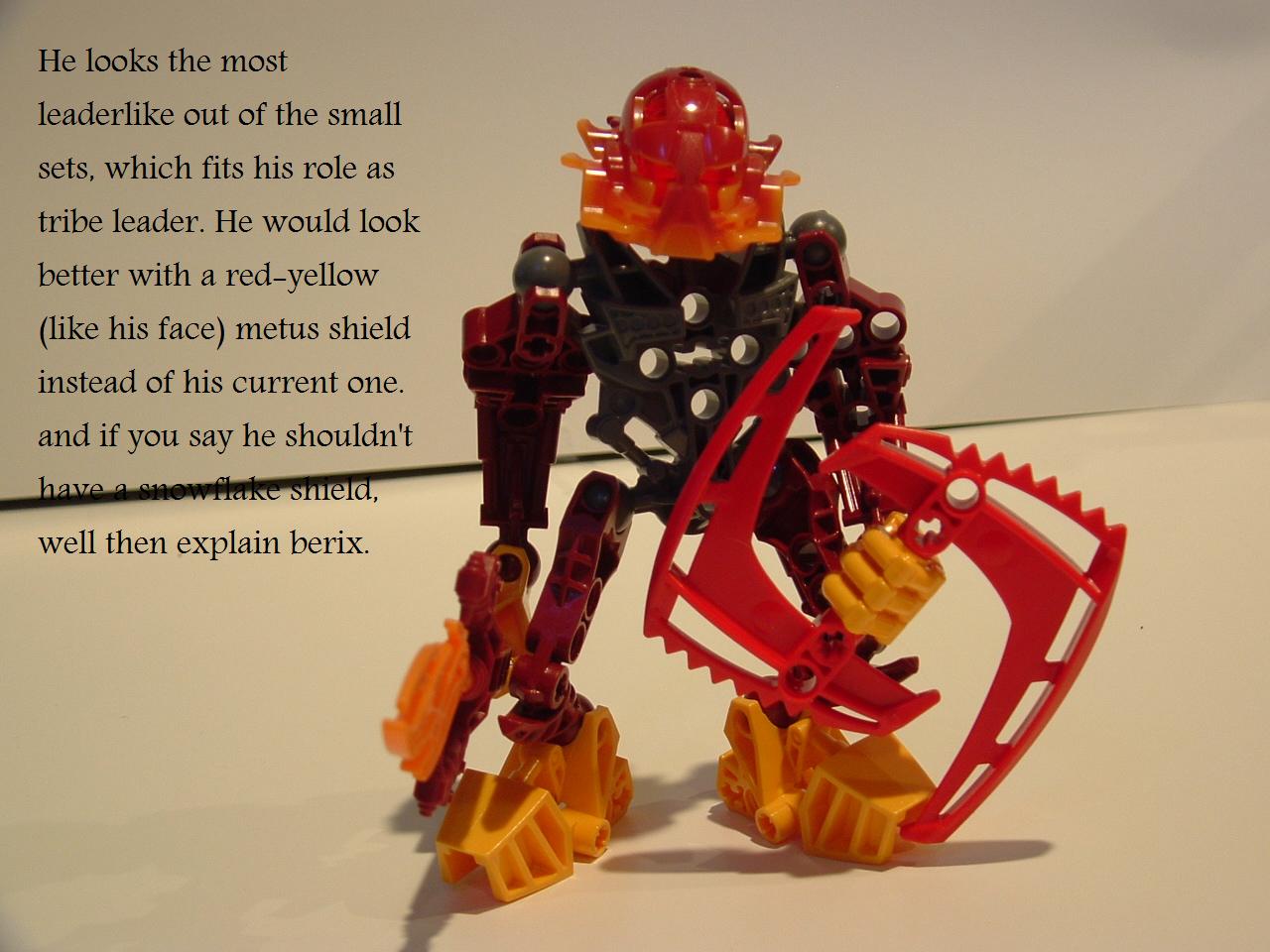 2009_bionicles_011.jpg