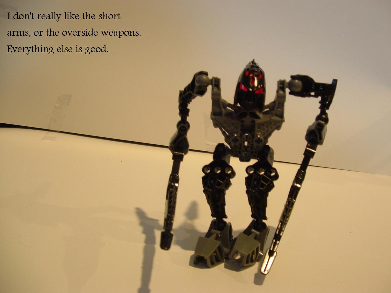 2009_bionicles_019.jpg
