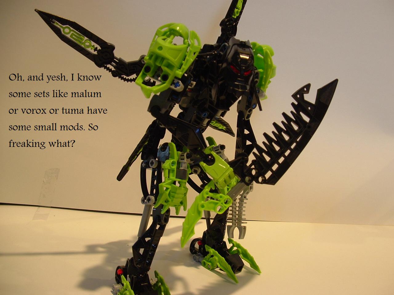 2009_bionicles_026.jpg