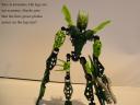 2009_bionicles_013.jpg