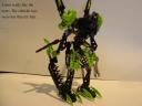 2009_bionicles_025.jpg
