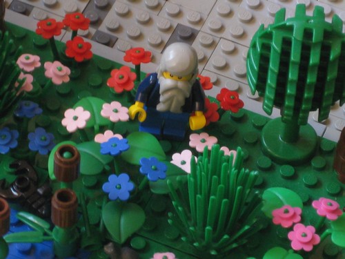 park_7_012.jpg