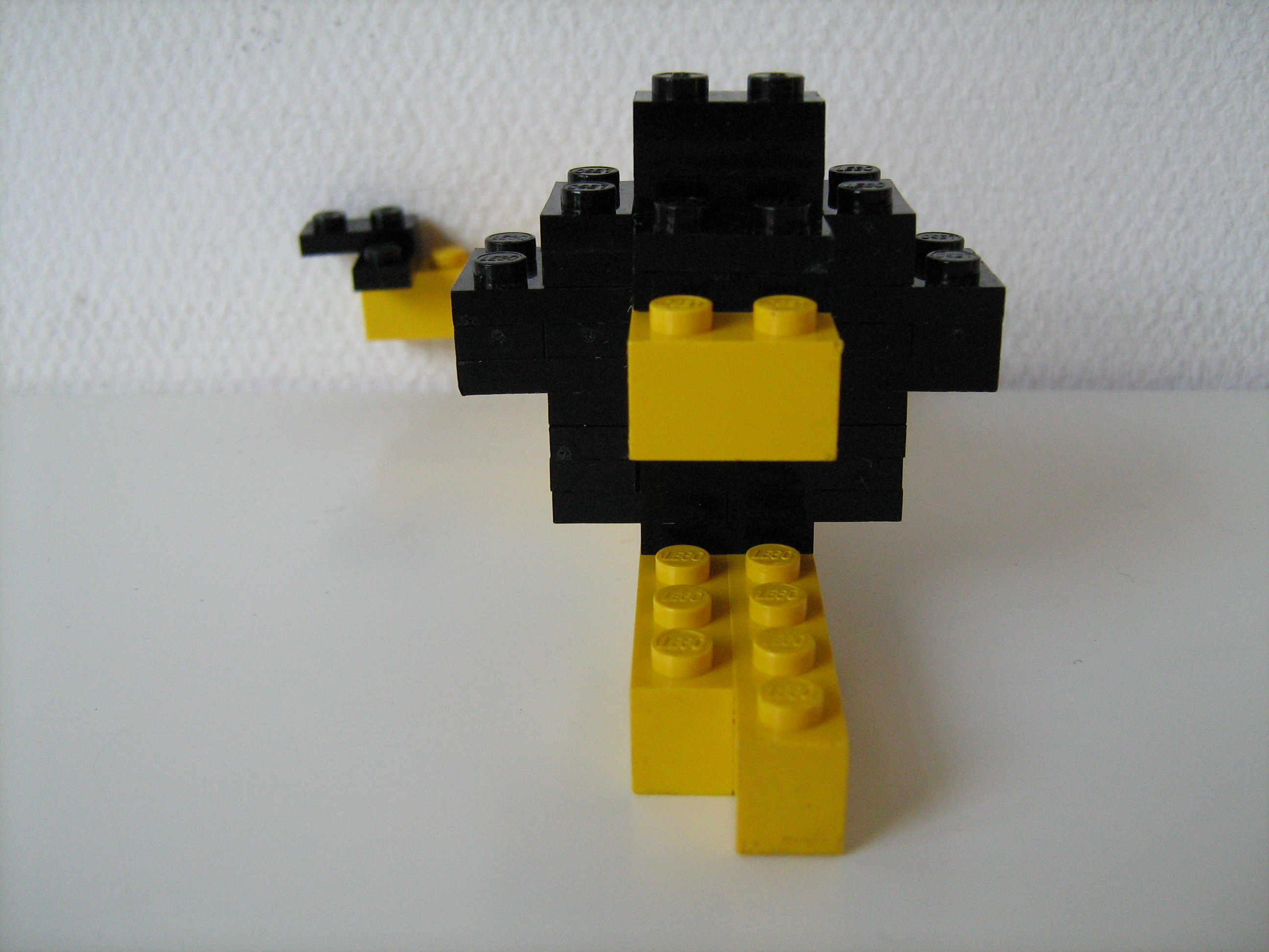 male_lion_-_mid_sixties_-_front.jpg