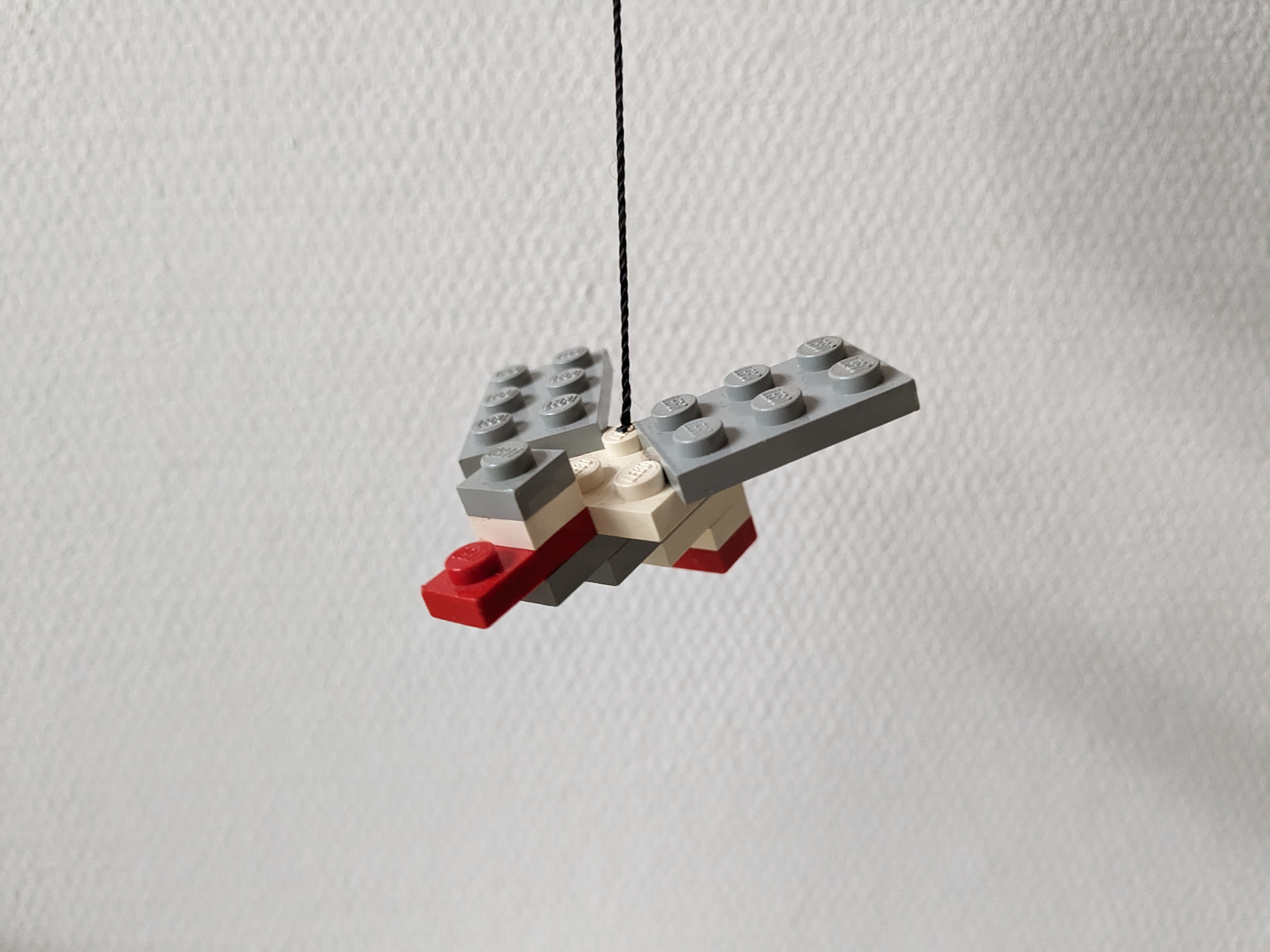 1963_bird.jpg