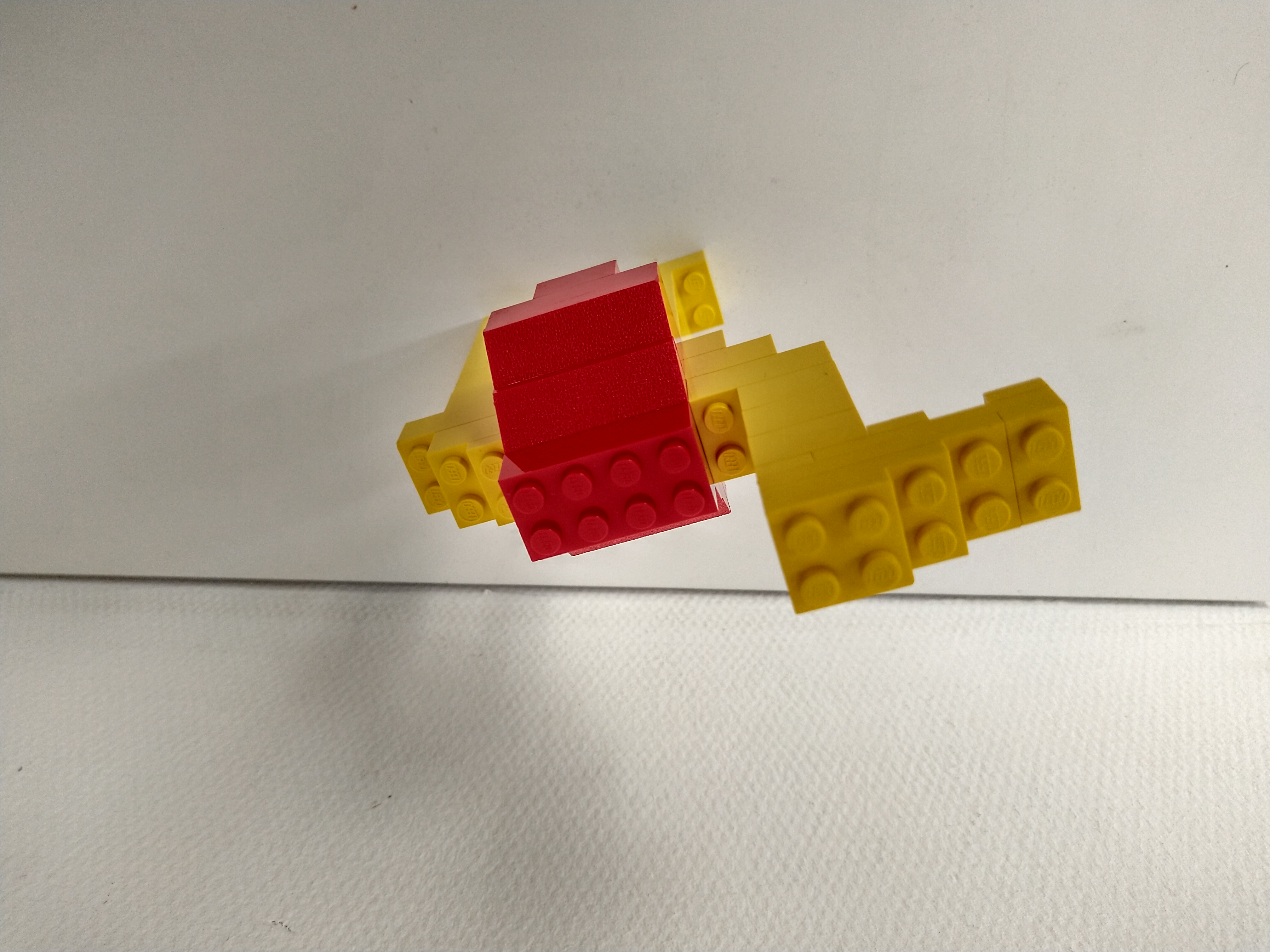 1965_camel_-_bird.jpg