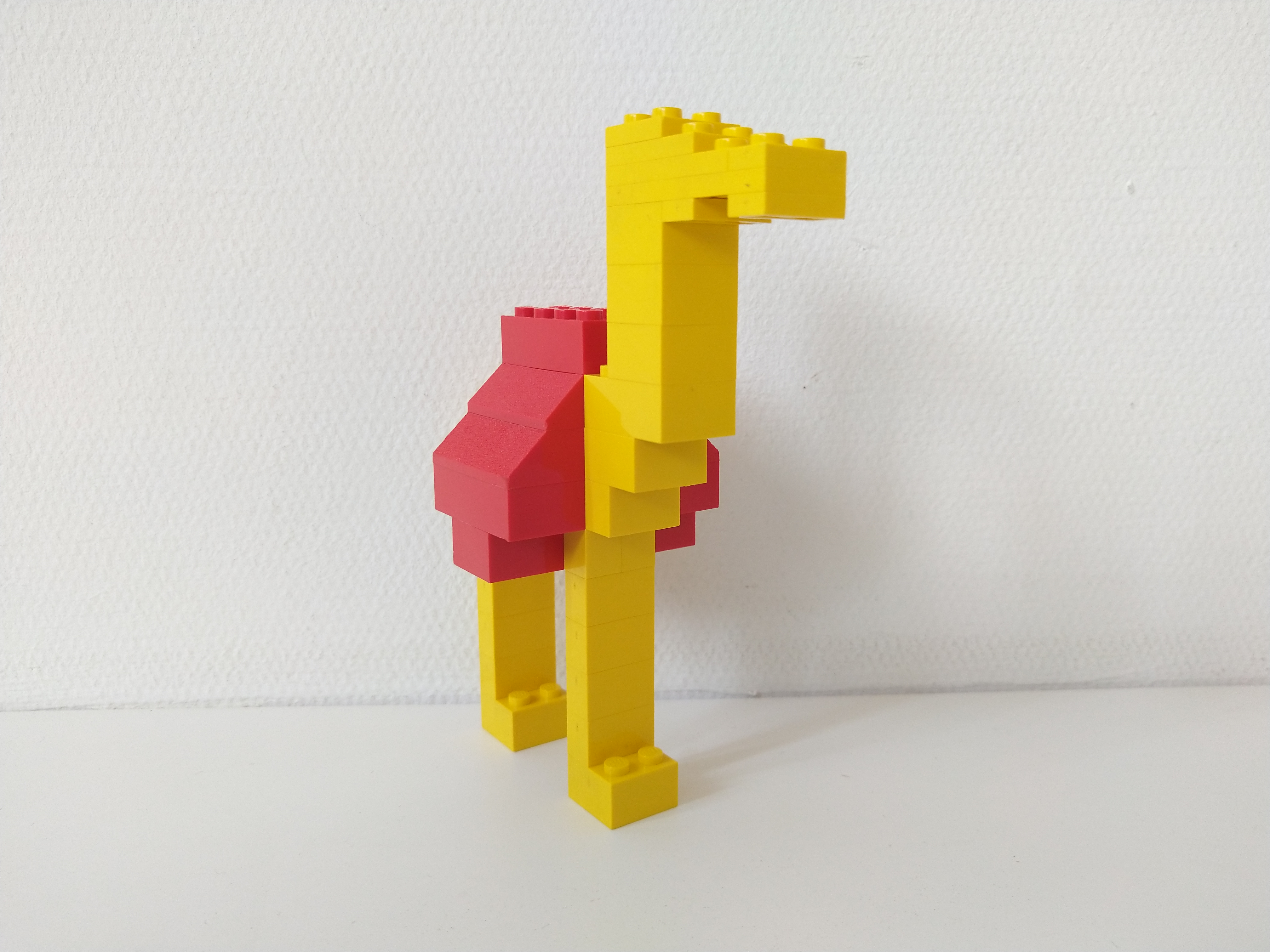1965_camel_-_frontside.jpg