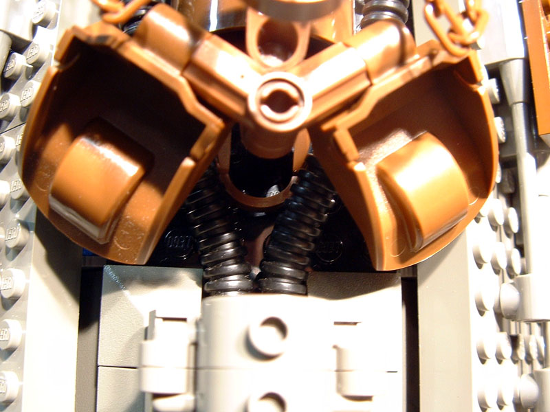 xtreme_closeup_belly.jpg