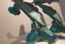 right_leg.jpg