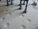 footprints.jpg