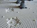 footprints_1.jpg