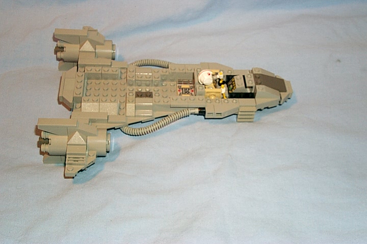 31.jpg