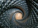spiral01.jpg