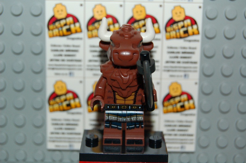 minifiguresseries6_013.jpg